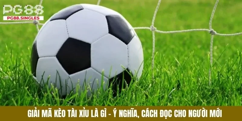 kèo tài xỉu là gì