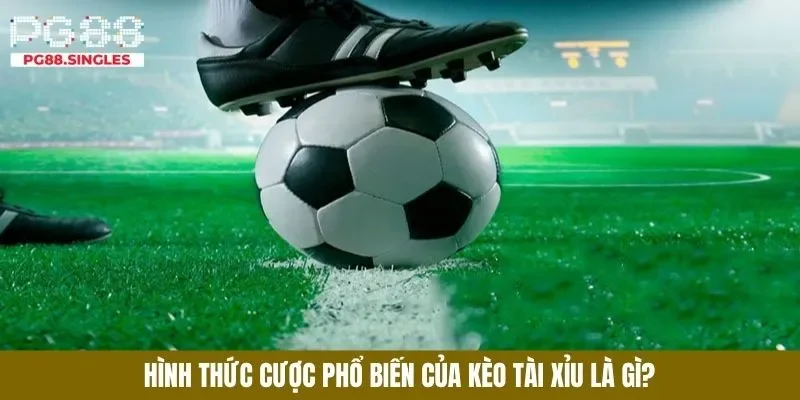 Kèo tài xỉu là gì là điều nhiều người mới quan tâm